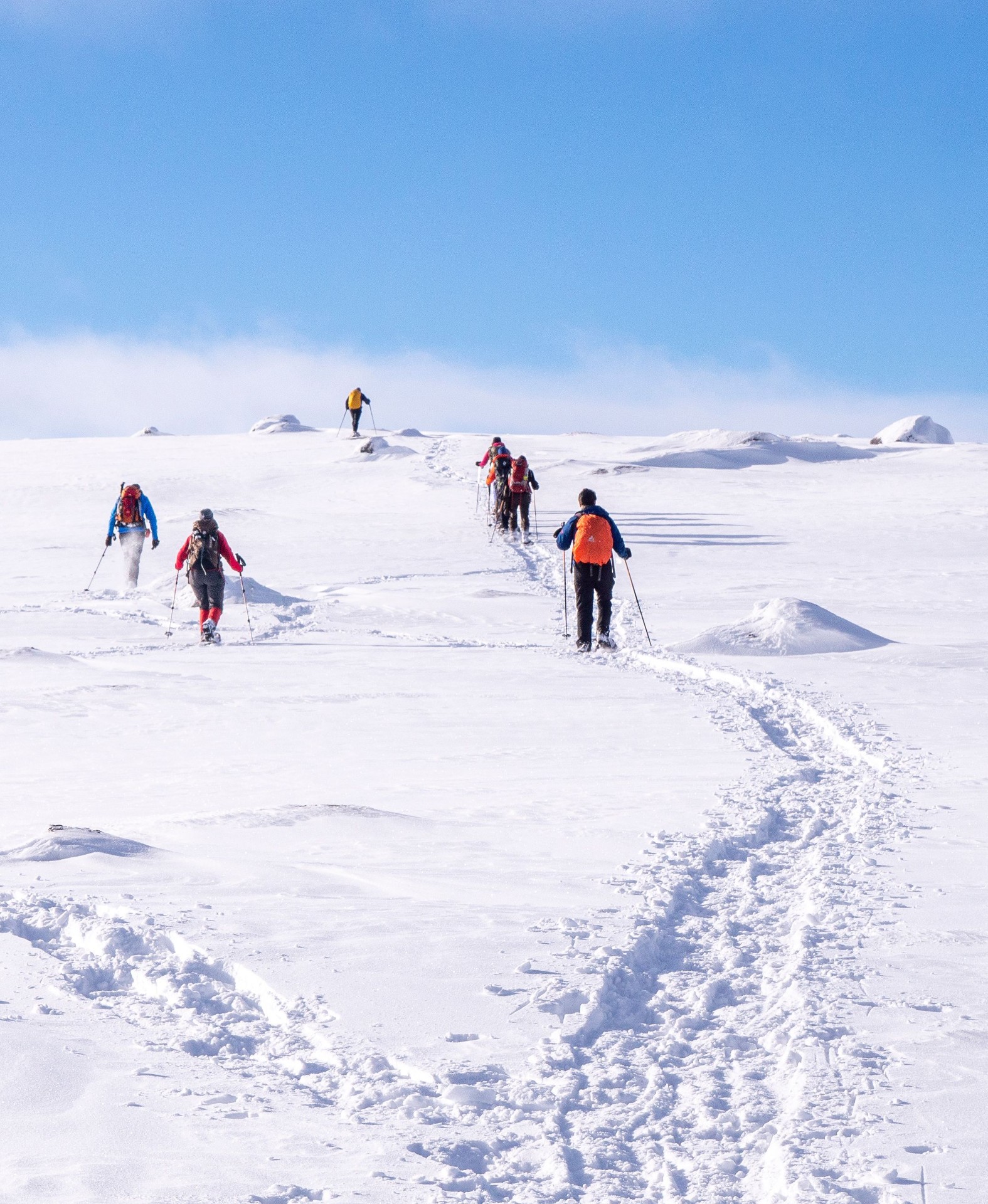 Raquetas de nieve